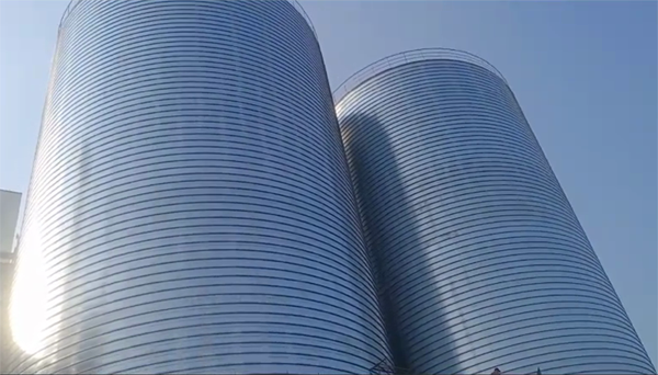 巴青2座混凝土高架卷板仓